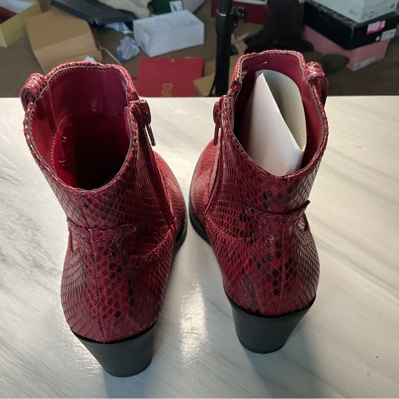 Sugar ankle boots - Picture 5 of 6